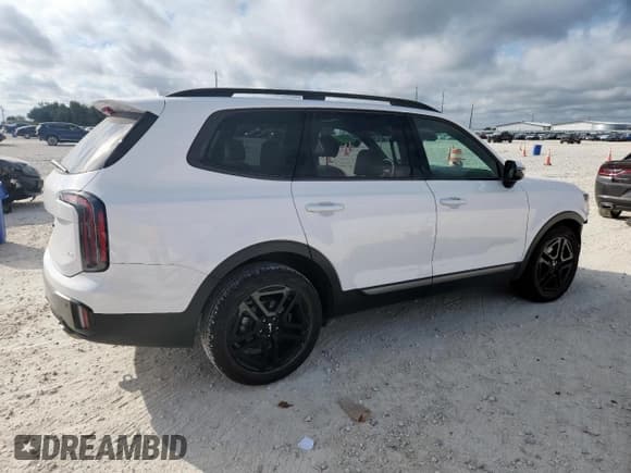 ✅ 2023 Kia Telluride SX Prestige X-Line • VIN: 5XYP5DGC5PG376222 • Lot: 92138945. Wystawiony na Copart z przebiegiem 53 563 mil. Bezpłatny archiwum sprzedaży aukcyjnych z USA i szczegółowy raport historii pojazdu na DreamBid. Zdjęcie 3.