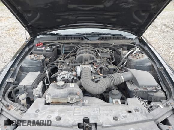 ✅ 2009 Ford Mustang • VIN: 1ZVHT80N195142262 • Lot: 43598541. Listed on IAAI with 62,020 mi. Free auction sales archive from the USA and detailed vehicle history report at DreamBid. Image 10.