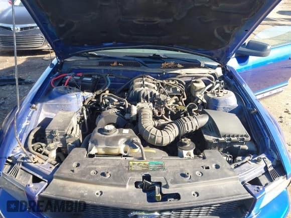 ✅ 2005 Ford Mustang Deluxe • VIN: 1ZVFT80N455145187 • Лот: 43810779. Опубликован ранее на IAAI с пробегом 157 263 миль. Бесплатный доступ к архиву аукционных продаж из США и подробный отчёт об истории автомобиля на DreamBid. Изображение 10.