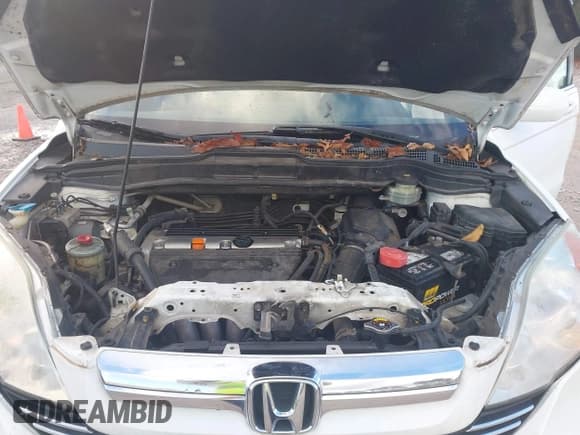 ✅ 2008 Honda CR-V EX-L • VIN: JHLRE48728C053555 • Лот: 43787438. Опубликован ранее на IAAI с пробегом 181 251 миль. Бесплатный доступ к архиву аукционных продаж из США и подробный отчёт об истории автомобиля на DreamBid. Изображение 10.