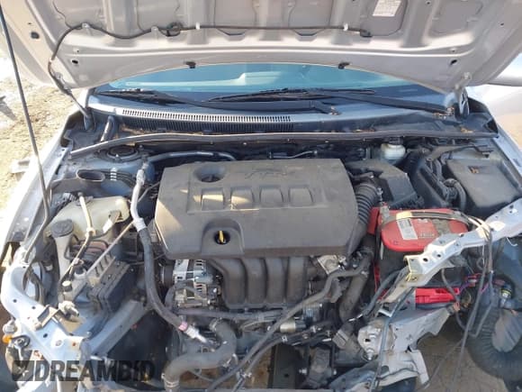 ✅ 2011 Toyota Corolla S • VIN: 2T1BU4EE9BC672608 • Lot: 43808987. Listed on IAAI with 123,628 mi. Free auction sales archive from the USA and detailed vehicle history report at DreamBid. Image 10.