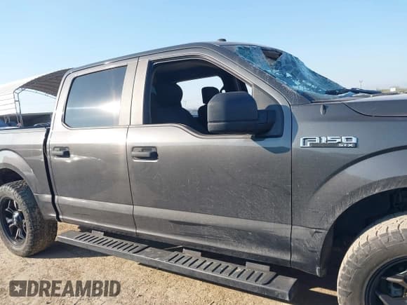 ✅ 2019 Ford F-150 XL • VIN: 1FTEW1CP3KKE78147 • Lot: 43187598. Listed on IAAI with Not provided. Free auction sales archive from the USA and detailed vehicle history report at DreamBid. Image 13.
