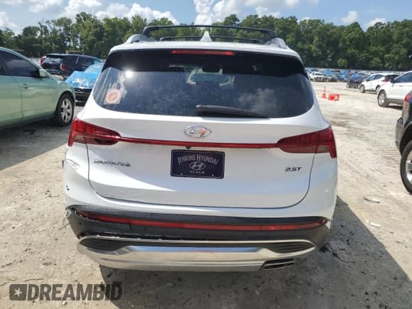✅ 2021 Hyundai Santa Fe Limited • VIN: 5NMS44AL5MH371447 • Lot: 65134364. Wystawiony na Copart z przebiegiem 39 389 mil. Bezpłatny archiwum sprzedaży aukcyjnych z USA i szczegółowy raport historii pojazdu na DreamBid. Zdjęcie 6.