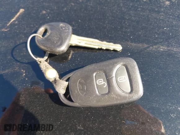 ✅ 2009 Hyundai Santa Fe GLS • VIN: 5NMSG13D99H251041 • Lot: 43546618. Listed on IAAI with 185,477 mi. Free auction sales archive from the USA and detailed vehicle history report at DreamBid. Image 11.