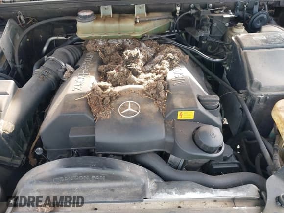 ✅ 2000 Mercedes-Benz M 320/430/500 • VIN: 4JGAB72E9YA208069 • Lot: 41530528. Listed on IAAI with 155,967 mi. Free auction sales archive from the USA and detailed vehicle history report at DreamBid. Image 10.