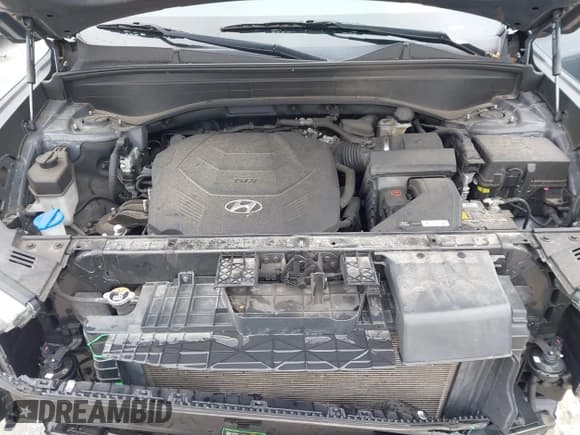 ✅ 2020 Hyundai Palisade SEL • VIN: KM8R24HE2LU134364 • Лот: 41411656. Опубликован ранее на IAAI с пробегом 63 566 миль. Бесплатный доступ к архиву аукционных продаж из США и подробный отчёт об истории автомобиля на DreamBid. Изображение 10.