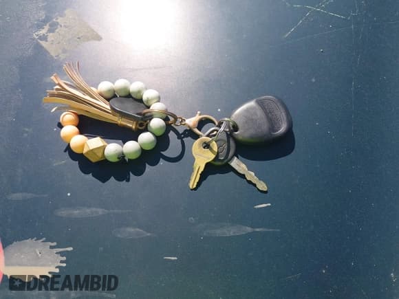 ✅ 2002 Chevrolet S-10 LS • VIN: 1GCCS19W528218430 • Лот: 41599415. Опубликован ранее на IAAI с пробегом Не указан. Бесплатный доступ к архиву аукционных продаж из США и подробный отчёт об истории автомобиля на DreamBid. Изображение 11.