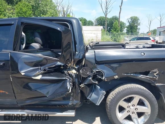 ✅ 2010 Dodge 1500 Sport • VIN: 1D7RV1CT7AS254580 • Lot: 42721490. Wystawiony na IAAI z przebiegiem 193 948 mil. Bezpłatny archiwum sprzedaży aukcyjnych z USA i szczegółowy raport historii pojazdu na DreamBid. Zdjęcie 6.