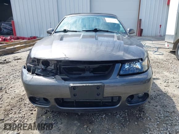 ✅ 2003 Ford Mustang SVT Cobra • VIN: 1FAFP49Y83F408856 • Lot: 41909138. Wystawiony na IAAI z przebiegiem 74 155 mil. Bezpłatny archiwum sprzedaży aukcyjnych z USA i szczegółowy raport historii pojazdu na DreamBid. Zdjęcie 12.