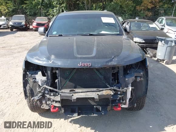 2017 Jeep Grand Cherokee Trailhawk with VIN 1C4RJFLG1HC790161, listed as a IAAI auction lot 43222197 with 142,785 mi miles and . Bid and sale history available at DreamBid. Image 6.