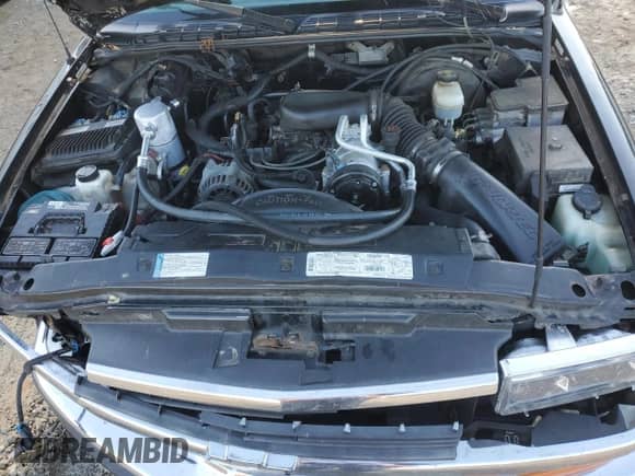 1998 Chevrolet Blazer LT z VIN 1GNDT13W4W2107054, wystawiony jako Copart lot #84475834 z przebiegiem 162 609 mil mil oraz Szkoda całkowita • Salvage title. Historia ofert i sprzedaży dostępna na DreamBid. Obrazek 12.