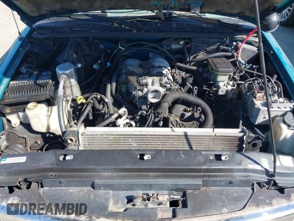 ✅ 1995 Chevrolet Blazer • VIN: 1GNDT13W3S2177106 • Lot: 43220738. Wystawiony na IAAI z przebiegiem 157 259 mil. Bezpłatny archiwum sprzedaży aukcyjnych z USA i szczegółowy raport historii pojazdu na DreamBid. Zdjęcie 10.