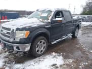 ✅ 2009 Ford F-150 XL • VIN: 1FTPW14V99FB36002 • Lot: 43814812. Listed on IAAI with Not provided. Free auction sales archive from the USA and detailed vehicle history report at DreamBid. Image 2.