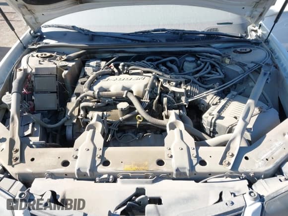 ✅ 2001 Chevrolet Impala • VIN: 2G1WF55E119202159 • Lot: 41320130. Wystawiony na IAAI z przebiegiem 183 921 mil. Bezpłatny archiwum sprzedaży aukcyjnych z USA i szczegółowy raport historii pojazdu na DreamBid. Zdjęcie 10.