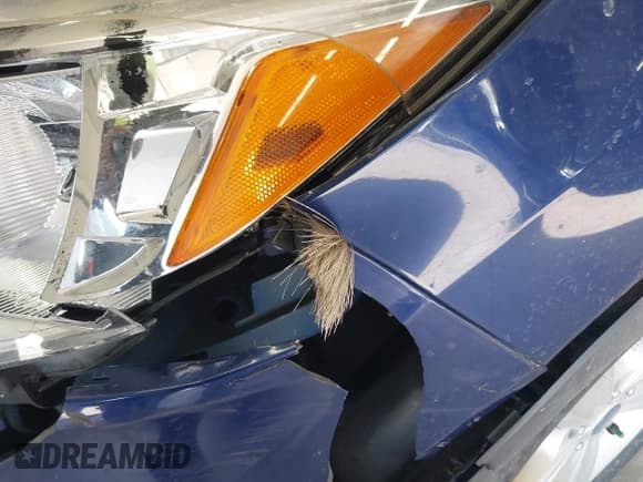 ✅ 2013 Ford Escape SE • VIN: 1FMCU9G96DUA18622 • Lot: 41797700. Listed on IAAI with 183,223 mi. Free auction sales archive from the USA and detailed vehicle history report at DreamBid. Image 13.