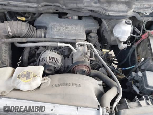 2005 Dodge 1500 SLT z VIN 1D7HU18DX5S142037, wystawiony jako IAAI lot #43557449 z przebiegiem 207 278 mil mil oraz . Historia ofert i sprzedaży dostępna na DreamBid. Obrazek 10.