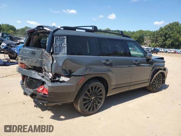 ✅ 2025 Hyundai Santa Fe Calligraphy • VIN: 5NMP5DGL3SH127190 • Lot: 69976555. Listed on Copart with 149 mi. Free auction sales archive from the USA and detailed vehicle history report at DreamBid. Image 3.
