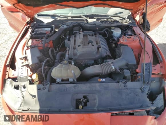 ✅ 2016 Ford Mustang EcoBoost Premium • VIN: 1FA6P8TH5G5280216 • Lot: 82171335. Listed on Copart with 136,368 mi. Free auction sales archive from the USA and detailed vehicle history report at DreamBid. Image 11.