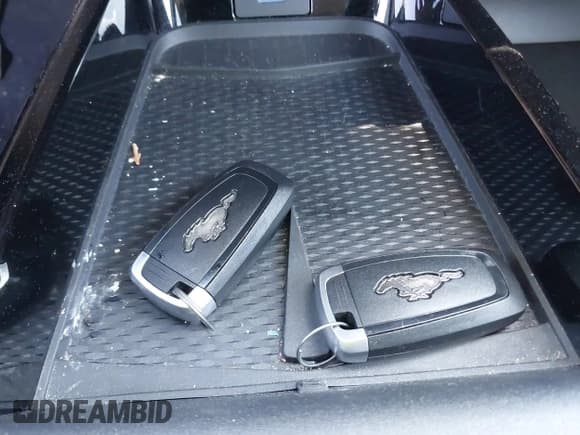 ✅ 2022 Ford Mustang Mach-E Select • VIN: 3FMTK1RM1NMA28893 • Lot: 42527420. Wystawiony na IAAI z przebiegiem 50 935 mil. Bezpłatny archiwum sprzedaży aukcyjnych z USA i szczegółowy raport historii pojazdu na DreamBid. Zdjęcie 11.