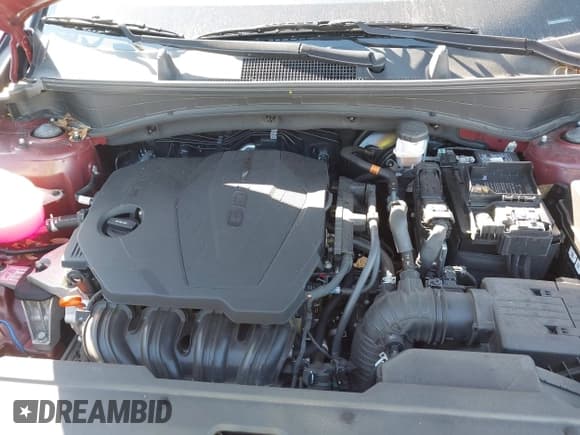 ✅ 2024 Kia Sportage X-Line • VIN: 5XYK6CDF3RG167967 • Лот: 43692820. Опубликован ранее на IAAI с пробегом 22 694 миль. Бесплатный доступ к архиву аукционных продаж из США и подробный отчёт об истории автомобиля на DreamBid. Изображение 10.