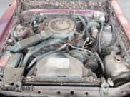 ✅ 1984 Ford Thunderbird • VIN: 1FABP4630EA111572 • Lot: 41569309. Listed on IAAI with 7,919 mi. Free auction sales archive from the USA and detailed vehicle history report at DreamBid. Image 10.