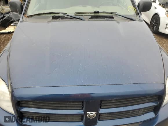 2008 Dodge 1500 ST z VIN 1D7HA16K78J196609, wystawiony jako Copart lot #73120924 z przebiegiem 229 999 mil mil oraz Czysty tytuł • Clean title. Historia ofert i sprzedaży dostępna na DreamBid. Obrazek 11.