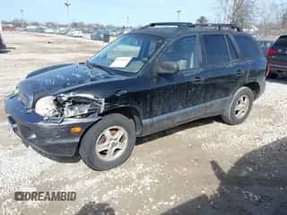 2004 Hyundai Santa Fe GLS с VIN KM8SC13E64U742880, выставлен на аукционе IAAI как лот 41764097 с пробегом 126 559 миль миль и . История ставок и продаж доступна на DreamBid. Изображение 2.