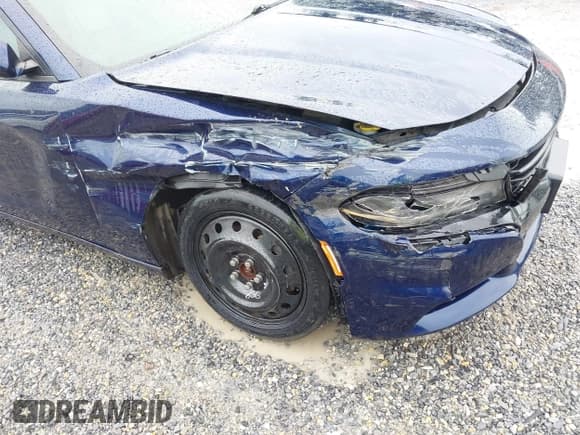 ✅ 2015 Dodge Charger SXT • VIN: 2C3CDXJG8FH898376 • Lot: 42948897. Wystawiony na IAAI z przebiegiem 211 730 mil. Bezpłatny archiwum sprzedaży aukcyjnych z USA i szczegółowy raport historii pojazdu na DreamBid. Zdjęcie 17.