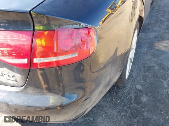 ✅ 2010 Audi A4 Premium Plus • VIN: WAUFFAFL7AN031716 • Lot: 41851396. Listed on IAAI with 206,960 mi. Free auction sales archive from the USA and detailed vehicle history report at DreamBid. Image 14.