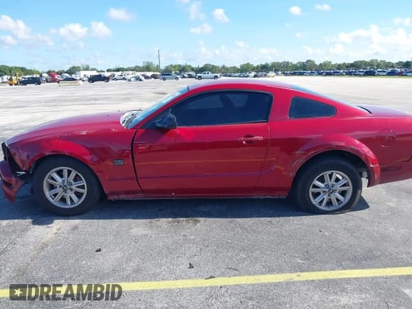 ✅ 2009 Ford Mustang • VIN: 1ZVHT80N995123846 • Лот: 42984856. Опубликован ранее на IAAI с пробегом 162 207 миль. Бесплатный доступ к архиву аукционных продаж из США и подробный отчёт об истории автомобиля на DreamBid. Изображение 6.