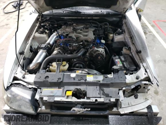 ✅ 2002 Ford Mustang Standard • VIN: 1FAFP40432F106903 • Lot: 55350025. Listed on Copart with 253,395 mi. Free auction sales archive from the USA and detailed vehicle history report at DreamBid. Image 11.