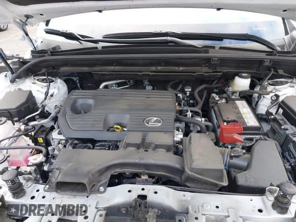 ✅ 2024 Lexus NX 250 • VIN: JTJADCAZ4R2013677 • Лот: 41548654. Опубликован ранее на IAAI с пробегом 24 564 миль. Бесплатный доступ к архиву аукционных продаж из США и подробный отчёт об истории автомобиля на DreamBid. Изображение 10.