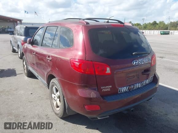 ✅ 2007 Hyundai Santa Fe GLS • VIN: 5NMSG13DX7H124022 • Lot: 43661840. Listed on IAAI with 218,044 mi. Free auction sales archive from the USA and detailed vehicle history report at DreamBid. Image 3.