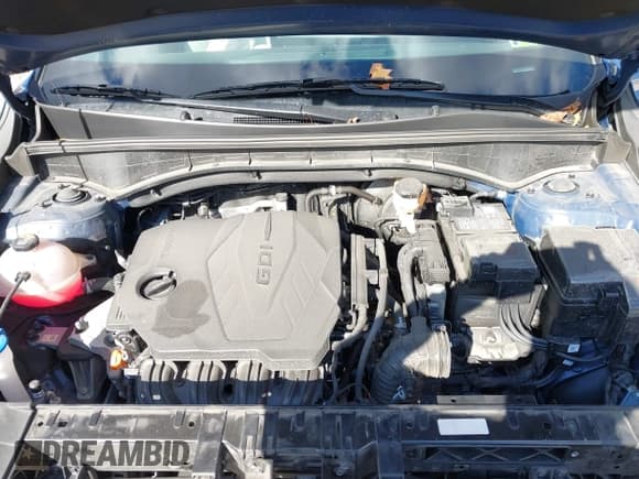 ✅ 2024 Kia Sorento S • VIN: 5XYRLDJC9RG294276 • Lot: 43636461. Listed on IAAI with 17,076 mi. Free auction sales archive from the USA and detailed vehicle history report at DreamBid. Image 10.