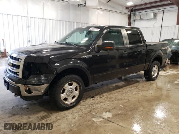 ✅ 2013 Ford F-150 XL • VIN: 1FTFW1EF7DKD61635 • Lot: 49081274. Listed on Copart with 223,902 mi. Free auction sales archive from the USA and detailed vehicle history report at DreamBid. Image 1.