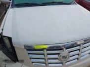 ✅ 2009 Cadillac Escalade • VIN: 1GYFK23289R263532 • Lot: 43783759. Listed on IAAI with 196,753 mi. Free auction sales archive from the USA and detailed vehicle history report at DreamBid. Image 19.