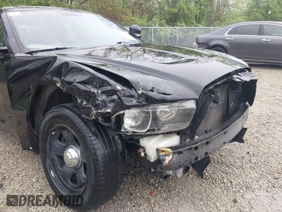 ✅ 2011 Dodge Charger • VIN: 2B3CL1CG1BH565098 • Lot: 42184330. Listed on IAAI with 211,530 mi. Free auction sales archive from the USA and detailed vehicle history report at DreamBid. Image 19.