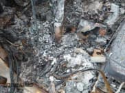 ✅ 2020 Chevrolet Silverado 1500 LT • VIN: 3GCUYDEDXLG247538 • Lot: 41877992. Listed on IAAI with Not provided. Free auction sales archive from the USA and detailed vehicle history report at DreamBid. Image 11.