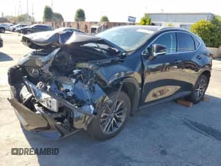 ✅ 2024 Lexus NX 250 • VIN: 2T2ADCAZ6RC006245 • Lot: 69614385. Wystawiony na Copart z przebiegiem Nie podano. Bezpłatny archiwum sprzedaży aukcyjnych z USA i szczegółowy raport historii pojazdu na DreamBid. Zdjęcie 1.