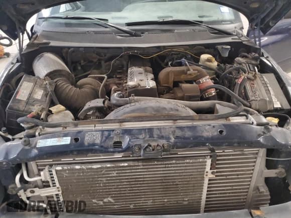 ✅ 2002 Dodge 2500 • VIN: 3B7KF23682M264814 • Lot: 86186845. Wystawiony na Copart z przebiegiem 282 713 mil. Bezpłatny archiwum sprzedaży aukcyjnych z USA i szczegółowy raport historii pojazdu na DreamBid. Zdjęcie 11.