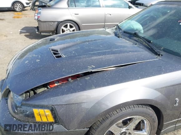 ✅ 2003 Ford Mustang SVT Cobra • VIN: 1FAFP49Y83F408856 • Lot: 41909138. Wystawiony na IAAI z przebiegiem 74 155 mil. Bezpłatny archiwum sprzedaży aukcyjnych z USA i szczegółowy raport historii pojazdu na DreamBid. Zdjęcie 21.