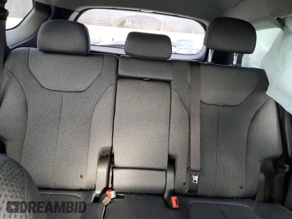 ✅ 2019 Hyundai Santa Fe SE • VIN: 5NMS2CAD2KH117328 • Lot: 38864413. Wystawiony na Copart z przebiegiem 40 968 mil. Bezpłatny archiwum sprzedaży aukcyjnych z USA i szczegółowy raport historii pojazdu na DreamBid. Zdjęcie 10.