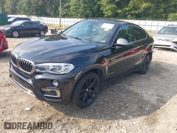 ✅ 2017 BMW X6 sDrive35i • VIN: 5UXKU0C32H0G68172 • Lot: 42993416. Listed on IAAI with 77,359 mi. Free auction sales archive from the USA and detailed vehicle history report at DreamBid. Image 2.