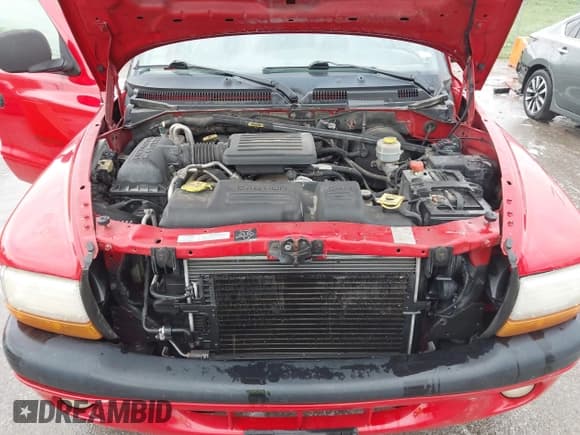 ✅ 2000 Dodge Dakota Sport • VIN: 1B7GG2ANXYS621732 • Lot: 41930673. Wystawiony na IAAI z przebiegiem 145 653 mil. Bezpłatny archiwum sprzedaży aukcyjnych z USA i szczegółowy raport historii pojazdu na DreamBid. Zdjęcie 10.