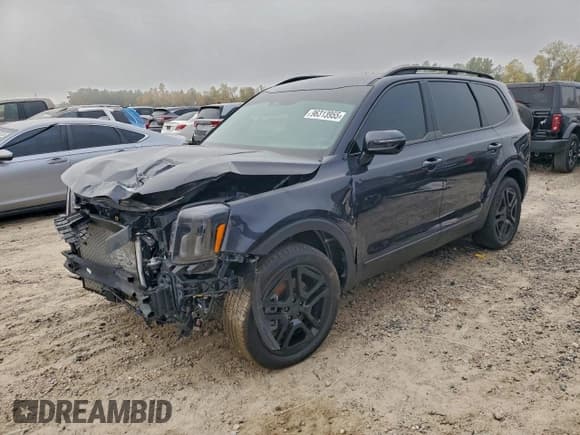 ✅ 2025 Kia Telluride SX X-Line • VIN: 5XYP5DGC1SG666949 • Lot: 96313955. Wystawiony na Copart z przebiegiem 2 168 mil. Bezpłatny archiwum sprzedaży aukcyjnych z USA i szczegółowy raport historii pojazdu na DreamBid. Zdjęcie 1.