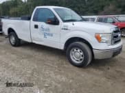 ✅ 2014 Ford F-150 XL • VIN: 1FTNF1CF4EKD20864 • Lot: 86454195. Listed on Copart with 315,594 mi. Free auction sales archive from the USA and detailed vehicle history report at DreamBid. Image 4.