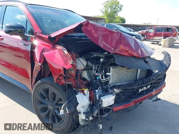 ✅ 2023 Kia Sorento SX • VIN: 5XYRKDLF9PG206074 • Lot: 43354521. Listed on IAAI with 16,914 mi. Free auction sales archive from the USA and detailed vehicle history report at DreamBid. Image 19.