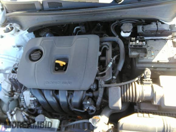 ✅ 2019 Kia Forte LXS • VIN: 3KPF24AD1KE006977 • Lot: 40460483. Listed on IAAI with 60,464 mi. Free auction sales archive from the USA and detailed vehicle history report at DreamBid. Image 10.