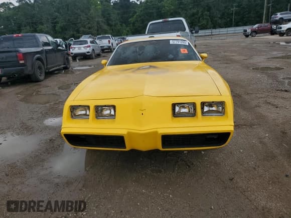 ✅ 1981 Pontiac Firebird • VIN: 1G2AT87S8BL140529 • Lot: 57791265. Wystawiony na Copart z przebiegiem Nie podano. Bezpłatny archiwum sprzedaży aukcyjnych z USA i szczegółowy raport historii pojazdu na DreamBid. Zdjęcie 5.