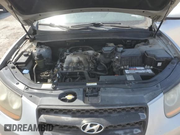 ✅ 2009 Hyundai Santa Fe SE • VIN: 5NMSH13E69H241802 • Lot: 70693734. Listed on Copart with 126,723 mi. Free auction sales archive from the USA and detailed vehicle history report at DreamBid. Image 14.